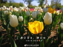 -长春公园(普阳街道)