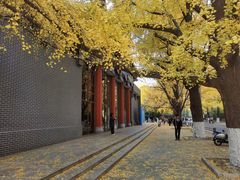 -四川大学(华西校区)