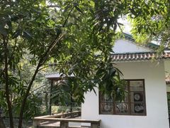 -广州兰圃