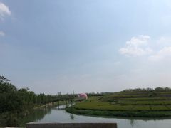 -乌村