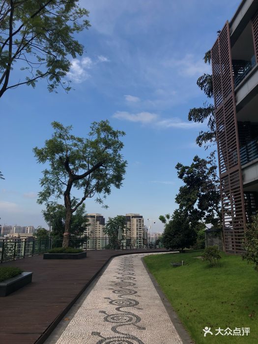 重庆中悦酒店图片 - 第4张