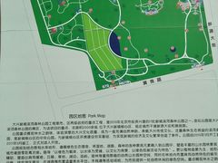 -大兴滨河森林公园