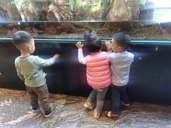 -泰谷酒店·太古码头闽菜自助餐厅