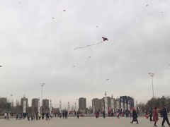 -丁香湖公园
