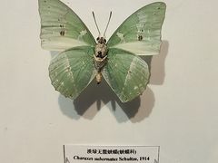 -吉林省自然博物馆