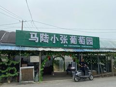 -马陆小张葡萄园农家乐