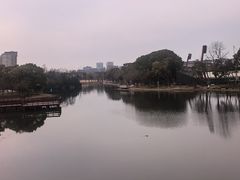 -新江湾城公园