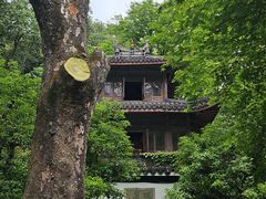 -宋宴(虎跑店)