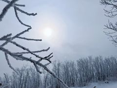 -中旅松花湖滑雪场