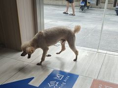 -申普宠物医院·眼科·心内科·影像科(普陀分院)