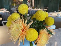 -南堂馆·新川菜(春熙路店)