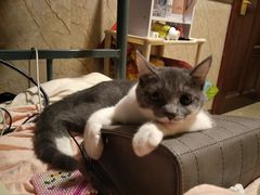 -畜牧兽医站(共江路店)