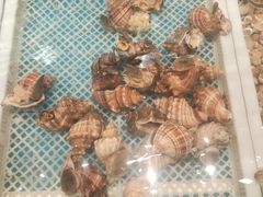 -码头鲜精致威海菜(欧乐坊店)