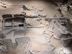 -洛阳周王城天子驾六博物馆