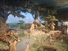 -国家自然博物馆