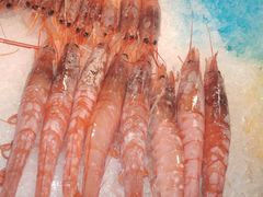 -亚马逊环球美食百汇(新城吾悦广场店)