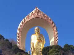 -庐山风景名胜区-东林大佛
