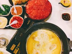 -鲜入围煮花胶鸡海鲜火锅