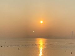 -深圳湾公园(南山区)