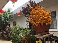 -寻味顺德·南记酒家·传统顺德菜·鱼生(广源路店)