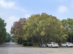 -胜华驾校·小猫学车(银都店)