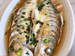 清蒸白鱼-小陆莲花蟹园农家乐(莲花岛店)