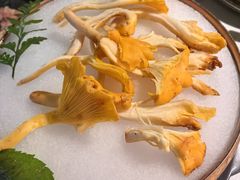 -芸山季·云南野生菌火锅(人民广场来福士店)