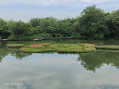 -西溪国家湿地公园