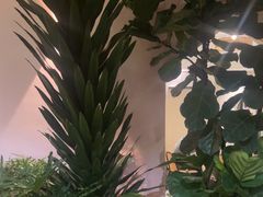 -菌林天下·野生菌汤锅