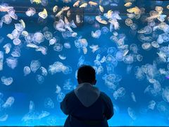 -多彩贵州城极地海洋世界