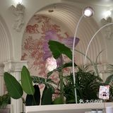 哈！每道菜都美到了我的心巴上！