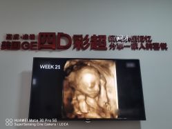 -北京安琪
