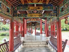 -洛龙公园