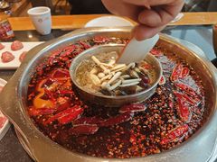 -一斗火锅·招财羊毛肚(北温泉九号店)