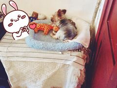 -春风十里咖啡馆