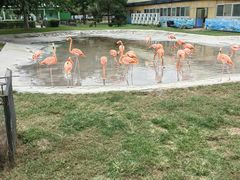 -秦皇岛野生动物园