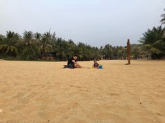 -南国锋味椰子鸡(瀚海店)