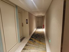 -维也纳国际酒店·长沙世界之窗月湖公园地铁站店