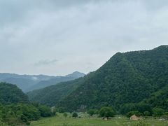 -狮子沟牧场