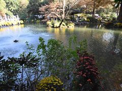 -杭州植物园