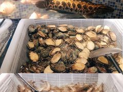 海鲜档-喜庭海鲜自助(北辰三角洲北辰荟店)