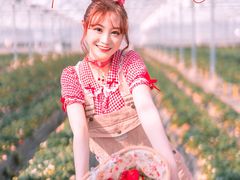 -青浦采草莓天天草莓园