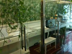 -圣典成人钢琴俱乐部(国贸旗舰校区)