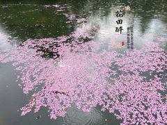 -杭州植物园