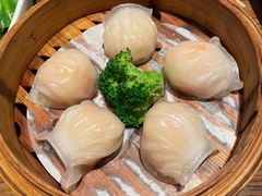 -珍宝轩海鲜火锅(碧湖大厦店)