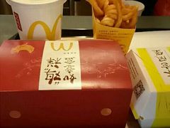 -麦当劳(新新大道岗丰店)
