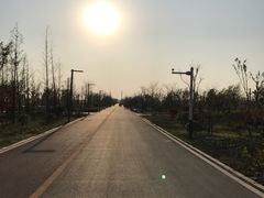 景点-南湖国家城市湿地公园