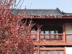 -堤角公园