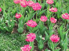 -长春公园(普阳街道)