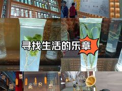 -珠海圆明新园